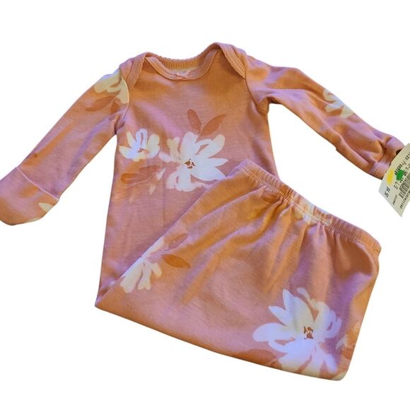 CARTER'S Preemie SleepSac Dusty Rose Floral Mitts Gathered‎ Bottom NEW - Picture 1 of 8